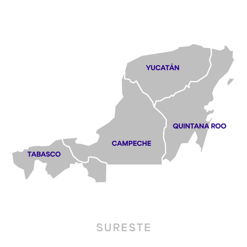 Mapa de la región asignada a Dafne Trejo